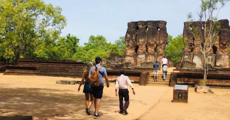 Polonnaruwa Sight Seeing Tour and Minneriya Elephant Safari - Key Points