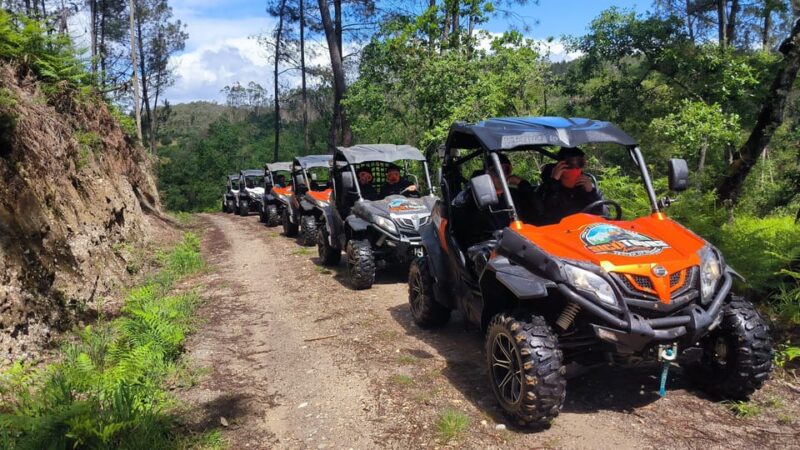 Pombal- Sicó: 60 Minutes OFF-ROAD Buggy Ride - Experience Highlights