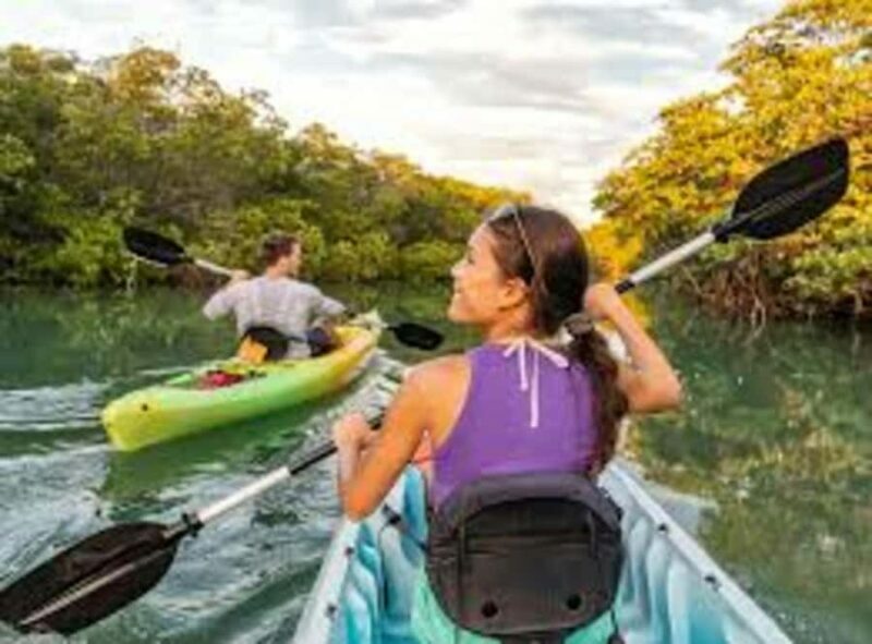 Pompano Beach: Kayak Rental - Pompano Beach: Kayak Rental – A Practical Guide to Enjoying South Florida’s Waterways