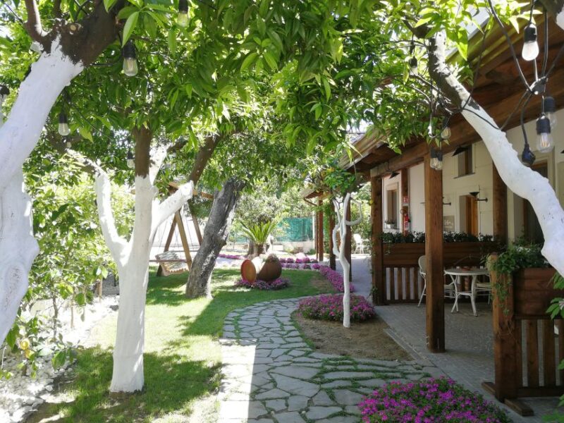 Pompei: 3-Hour Private Tour, Villa of the Mysteries & Lunch - Experience Highlights