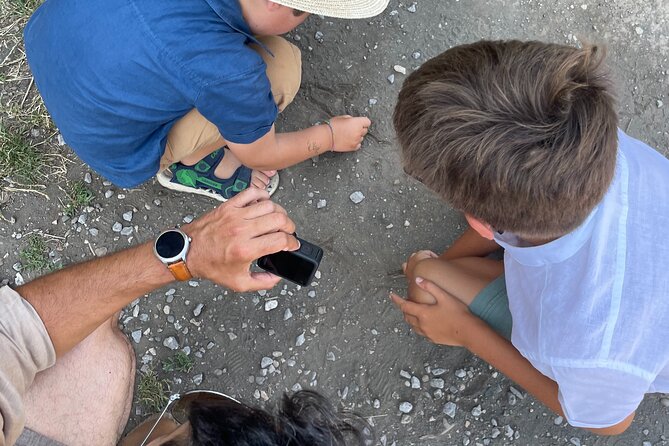 Pompei Adventure: a Tailored Tour for Families With Kids! - Captivating Tour Overview