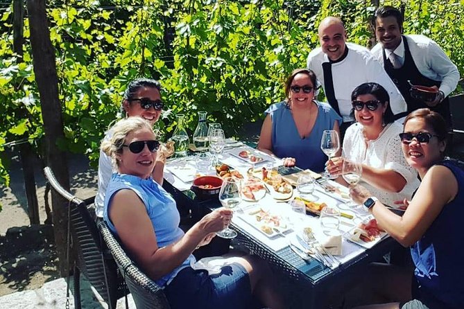 Pompei Archeological Site and Wine Tasting Experience - Wine Tasting and Meal