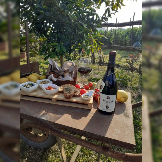 Pompei : Cooking Class and Guided Tour With an Archeologist - Experience Highlights