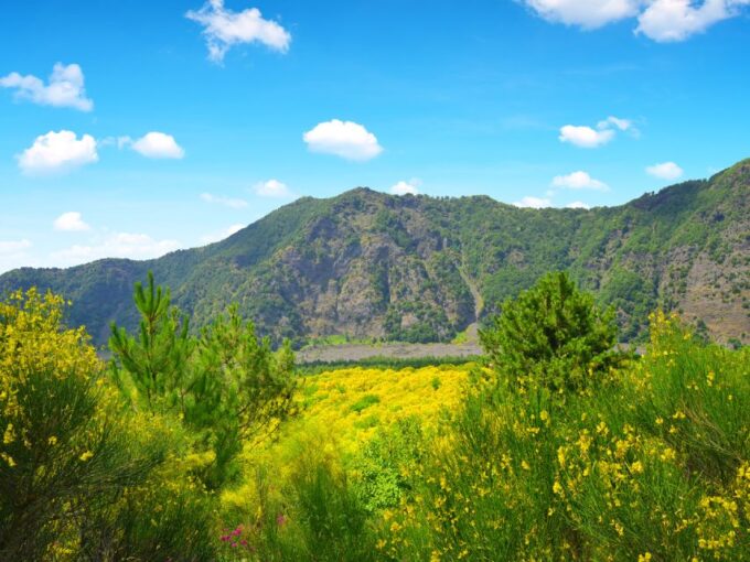 Pompei: Mount Vesuvius and Pompeii With Round-Trip Transfer - Frequently Asked Questions