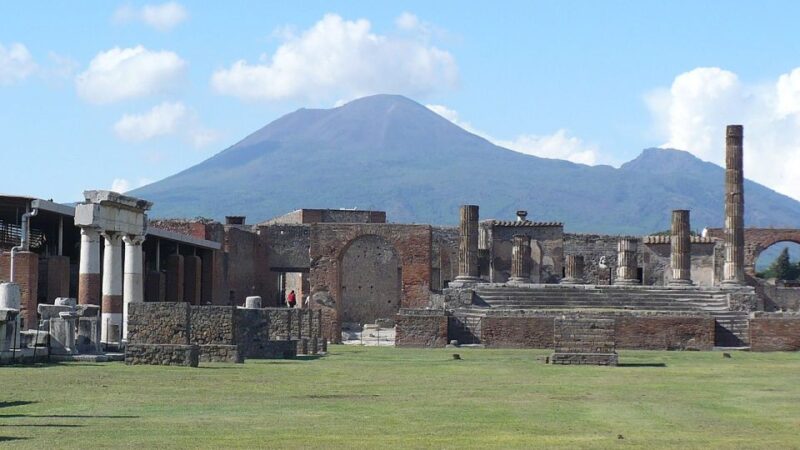 Pompei: Private Tour of Pompeii With Lunch & Wine Tasting - Key Points