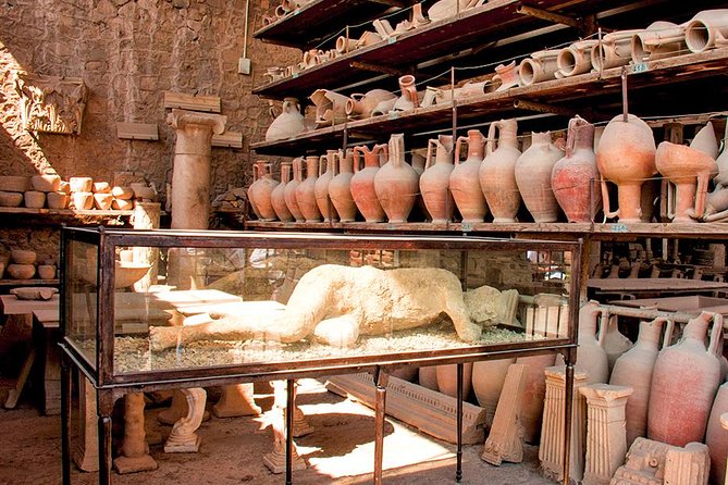Pompei Ruins Private Tour From Rome - Highlights of the Tour