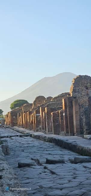 Pompei: Tour With Archaeologist Guide & Skip-The-Line Entry - Customer Feedback and Ratings
