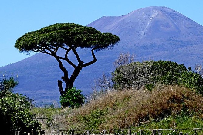 POMPEI & VESUVIO TOUR Full Day Departure From NAPLES (Entrance Fees Included) - Frequently Asked Questions