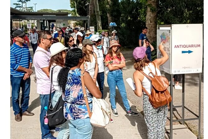 Pompeii 2 Hours Private Guided Tour, a JOURNEY THROUGH the TIME - Visitor Testimonials