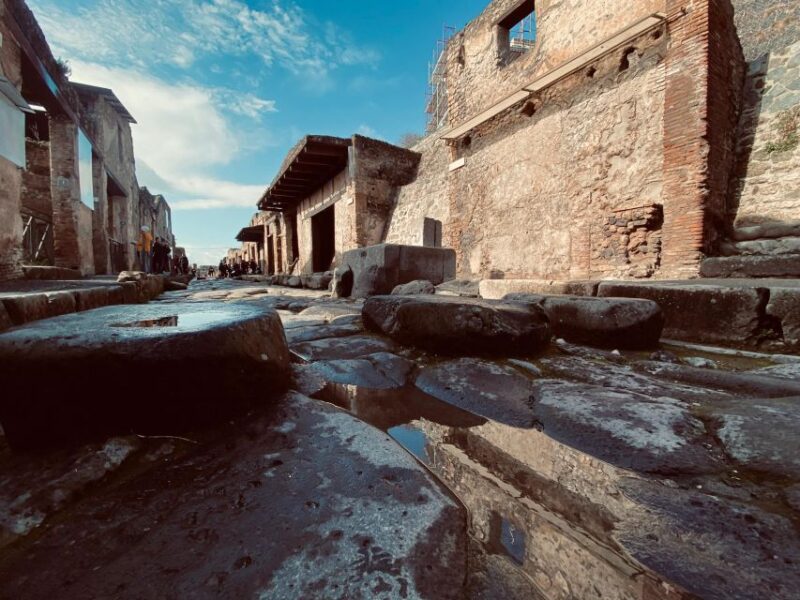 Pompeii 3h: Private Guided Tour With a Local Expert Guide - Important Information