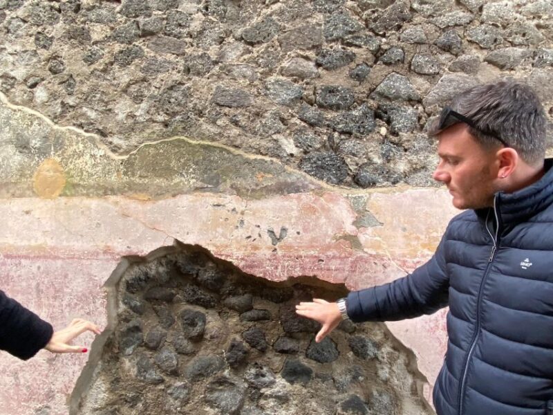 Pompeii 3h: Private Guided Tour With a Local Expert Guide - Customer Reviews