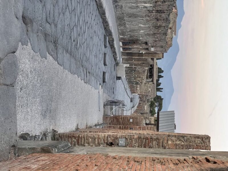 Pompeii: Afternoon to Sunset Guided Tour With Ticket - Inclusions and Accessibility
