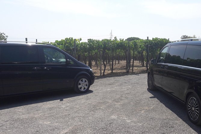 Pompeii Amalfi Coast Experience Private Tour - Highlights of the Tour