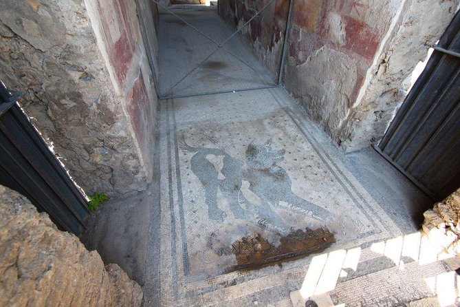 Pompeii Amalfi Unique Experience Tour - Inclusions and Costs