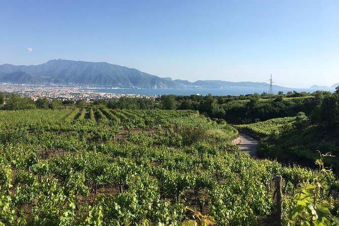 Pompeii and Herculaneum Full-Day Tour With Lunch and Wine  - Naples - Frequently Asked Questions