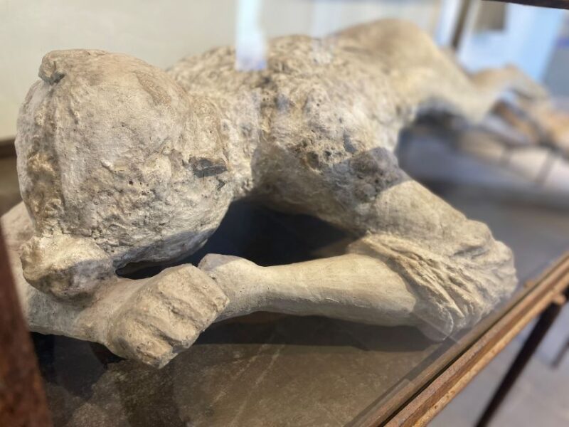 Pompeii and Herculaneum: Guided Tour With an Archaeologist - Experience Highlights