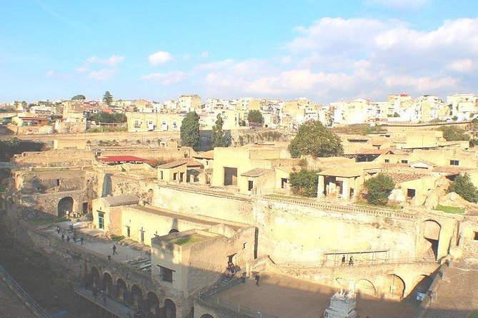 Pompeii and Herculaneum Private Tour With Native Guide and Skip the Line Tickets - Knowledgeable Local Guide Insights