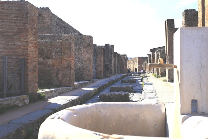 Pompeii and Herculaneum Private Tour With Native Guide and Skip the Line Tickets - Exceptional Customer Experiences