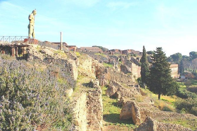 Pompeii and Herculaneum Private Tour With Native Guide and Skip the Line Tickets - Flexible Booking and Cancellation Options