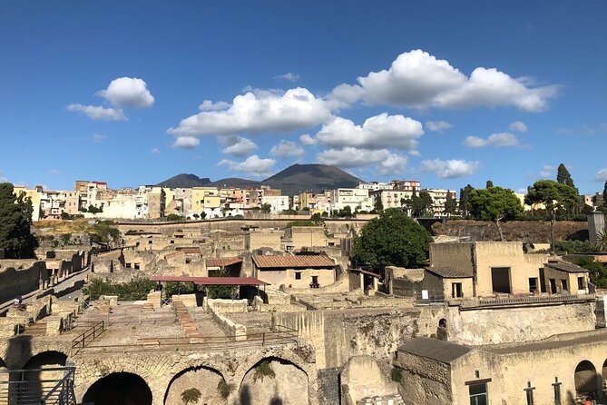 Pompeii and Herculaneum Private Tour With Pick up and Wine Tasting - Customizing Your Experience