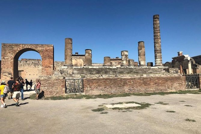 Pompeii and Herculaneum Private Walking Tour With an Archaeologist - Knowledgeable Archaeologist Guide