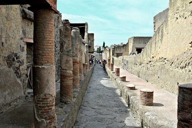 Pompeii and Herculaneum Private Walking Tour With an Archaeologist - Positive Guest Reviews