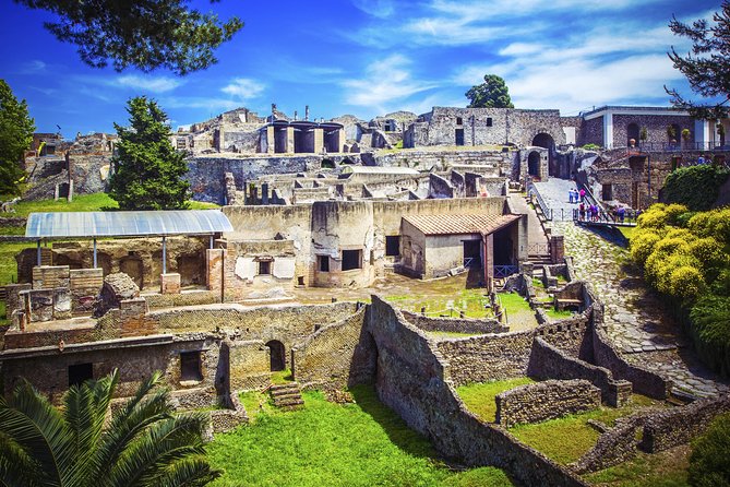 Pompeii and Herculaneum Ruins Private Tour - Traveler Reviews and Ratings
