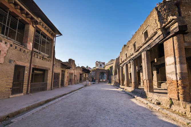 Pompeii and Herculaneum Shore Excursion With an Archaeologist - Pacing Issues in Crowded Areas