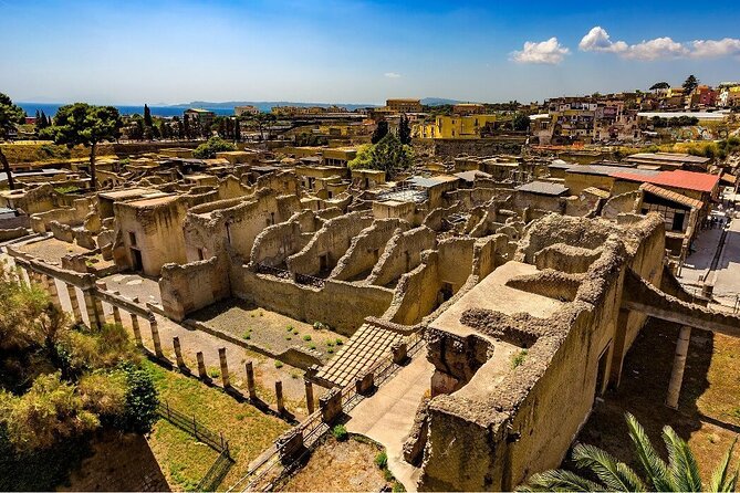 Pompeii and Herculaneum Skip the Line - From Amalfi and Positano - Notable Exclusions Listed