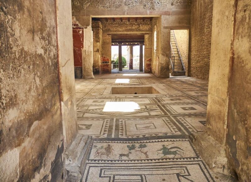 Pompeii and Herculaneum Tour - Tour Highlights