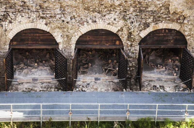 Pompeii and Herculaneum Tour - Booking Information