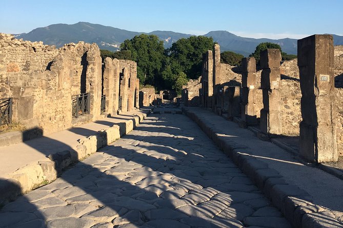 Pompeii and Herculaneum With Archaeologist, Small Group of 10!!! - Visiting Pompeii and Herculaneum