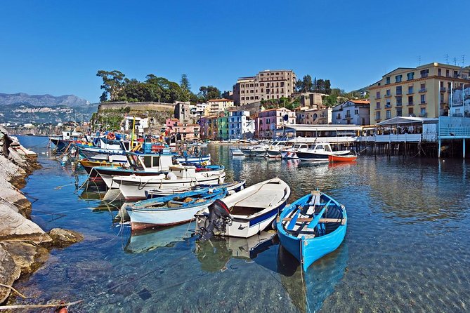 Pompeii and Sorrento Daytrip From Rome - Pricing Information
