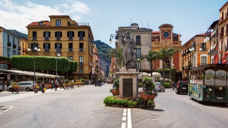 Pompeii and Sorrento Wheelchair Accessible Private Tour - Guidance and Support