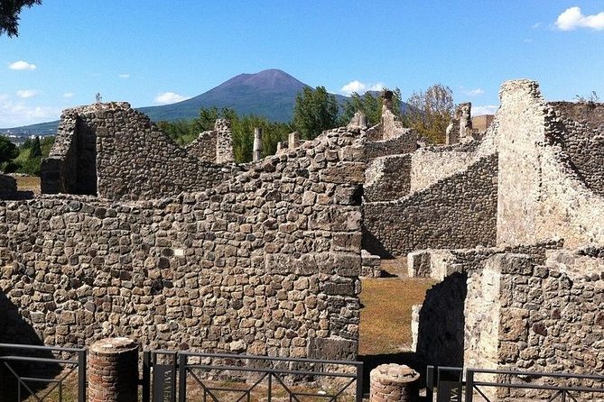 Pompeii and Vesuvius Experience From Naples - Skip the Line - - Itinerary Highlights