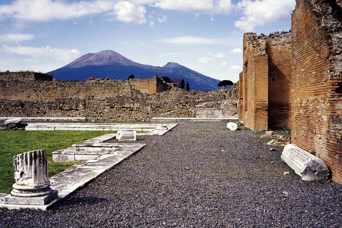 Pompeii and Vesuvius Experience From Sorrento - Skip the Line - - Key Points