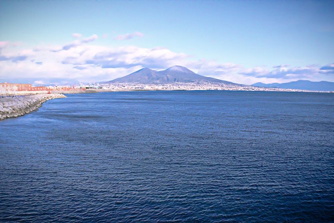 Pompeii and Vesuvius From Naples. Private Activity - Inclusions