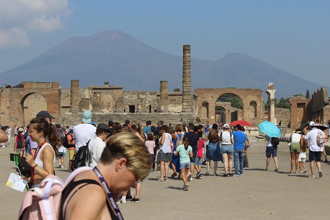 Pompeii and Vesuvius From Naples. Private Activity - Accessibility and Recommendations