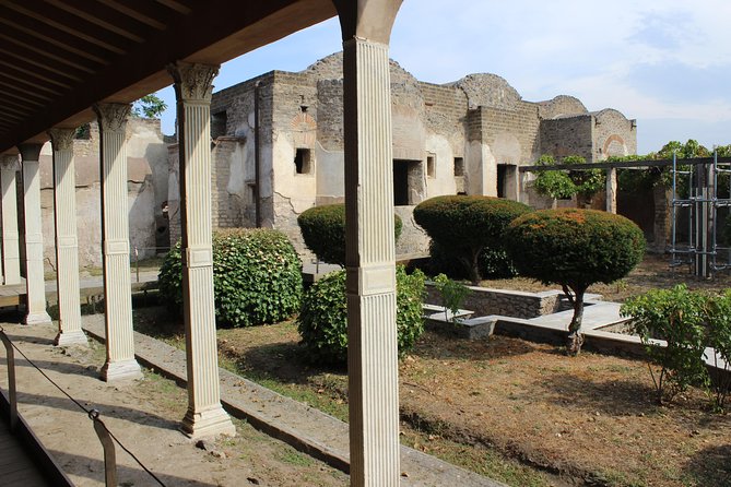 Pompeii and Vesuvius From Naples. Private Activity - Cancellation Policy