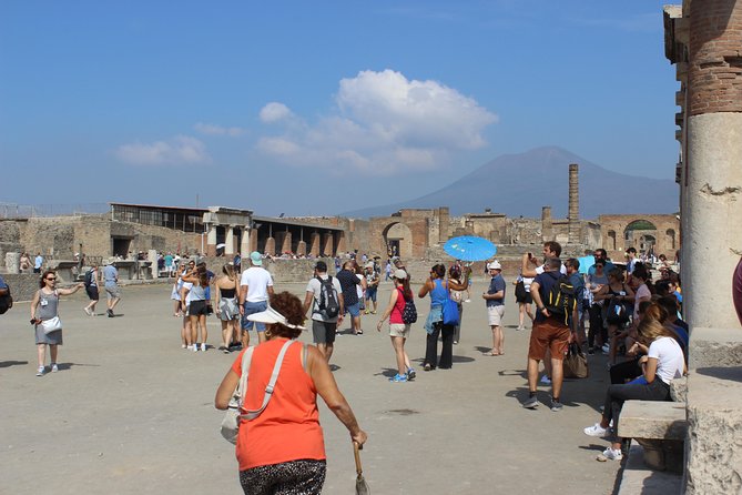Pompeii and Vesuvius From Naples. Private Activity - Reviews and Ratings