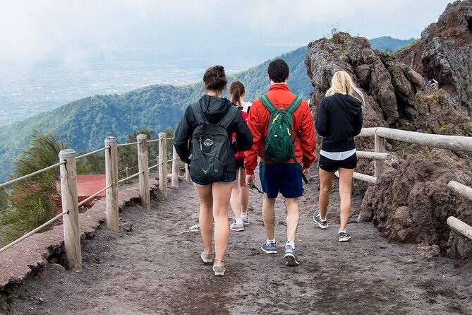 Pompeii and Vesuvius Full-Day Tour Select From Positano - Itinerary Details