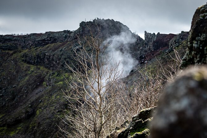 Pompeii and Vesuvius Small Group Tour From Sorrento With Pizza - Key Points