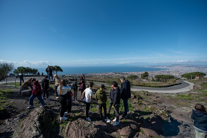 Pompeii and Vesuvius Small Group Tour From Sorrento With Pizza - Time Constraints and Feedback