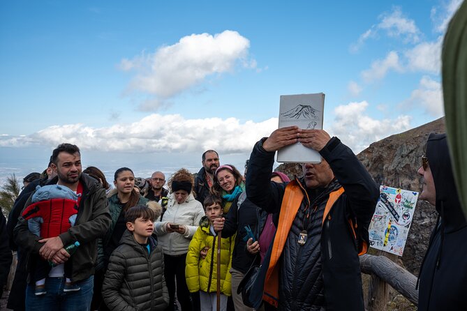 Pompeii and Vesuvius Small Group Tour From Sorrento With Pizza - Customer Support and Responsiveness