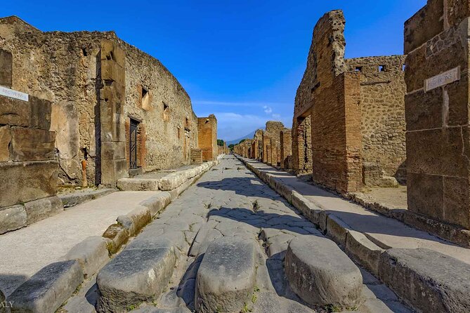 Pompeii Archaeological Area Entrance Ticket - Visitor Experiences and Feedback