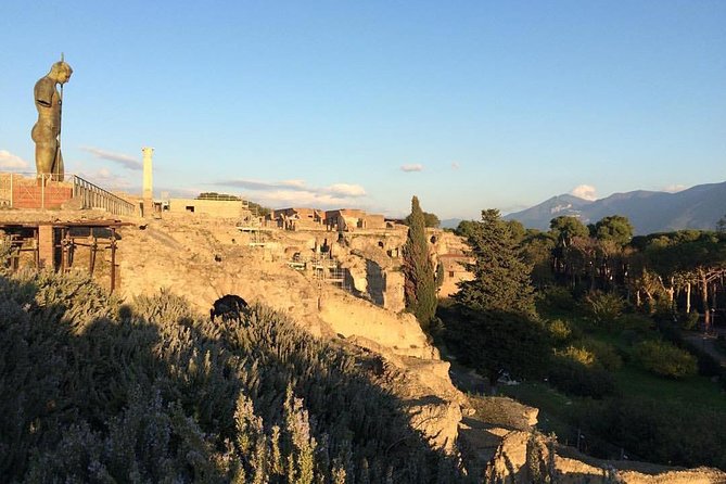 Pompeii & Archaeological Museum: Skip-The-Line With Your Archaeologist - Accessibility and Participation