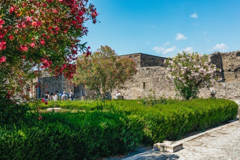 Pompeii: Archaeological Park Tour With Ticket on Request - Important Information