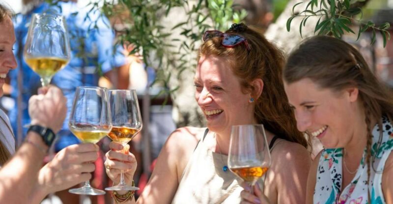 Pompeii: Archaeological Ruins Tour With Lunch & Wine Tasting - Inclusions and Experience
