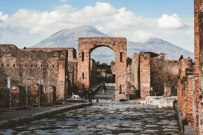 Pompeii: Entrance Ticket and Private Tour With a Historian - Guided Tour Highlights