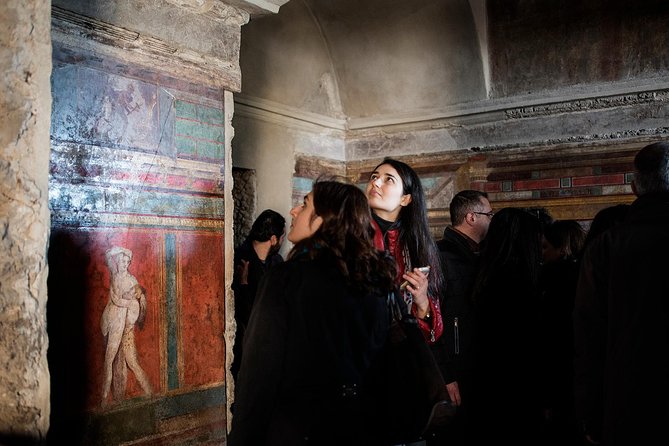 Pompeii Excavations: Skip-The-Line Private Tour - Traveler Reviews